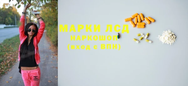 сатива Волосово