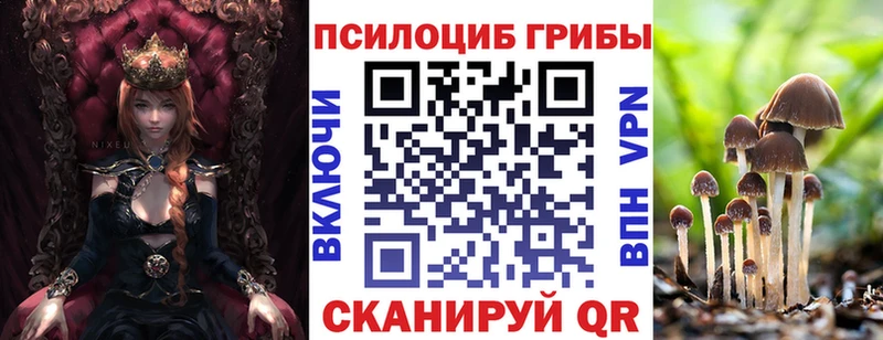Псилоцибиновые грибы MAGIC MUSHROOMS Купить Курчалой